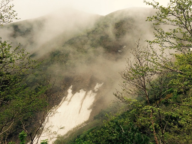 f:id:songispretty5551256:20150625104724j:image f:id:songispretty5551256:20150625104724j:image