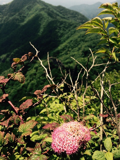 f:id:songispretty5551256:20150629193942j:image f:id:songispretty5551256:20150629193942j:image
