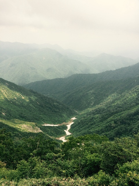 f:id:songispretty5551256:20150716164837j:image f:id:songispretty5551256:20150716164837j:image