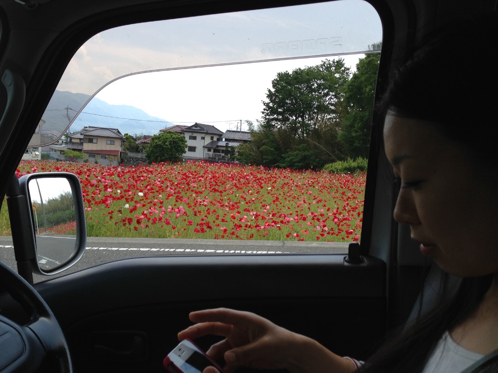 f:id:songispretty5551256:20150906000250j:image f:id:songispretty5551256:20150906000250j:image