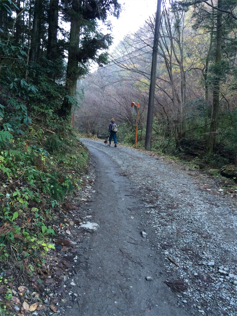 f:id:songispretty5551256:20151201210251j:image f:id:songispretty5551256:20151201210251j:image