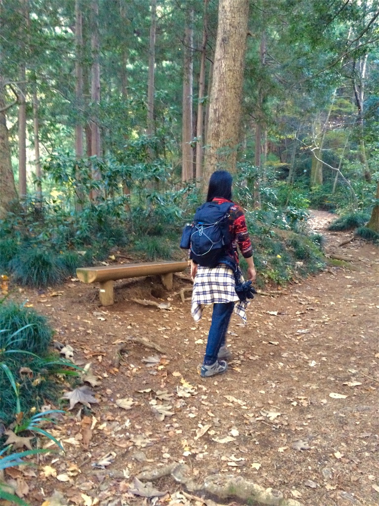 f:id:songispretty5551256:20151201210333j:image f:id:songispretty5551256:20151201210333j:image