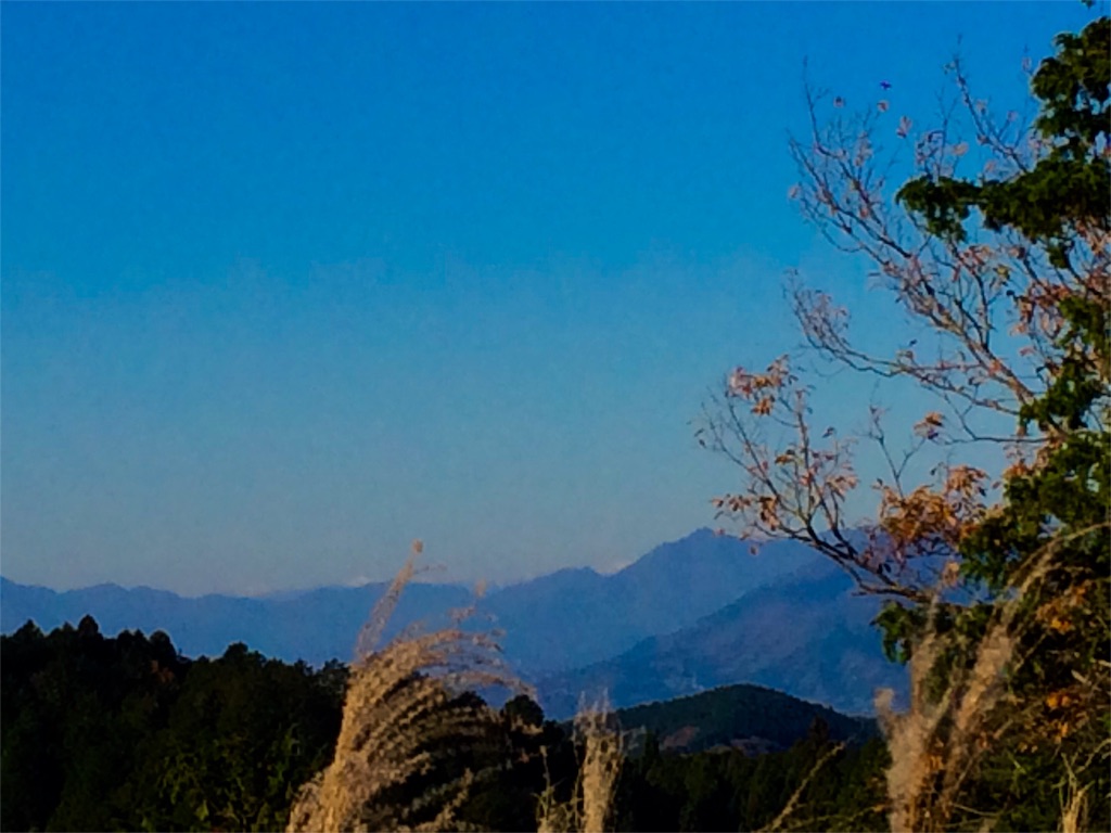 f:id:songispretty5551256:20151201212723j:image f:id:songispretty5551256:20151201212723j:image