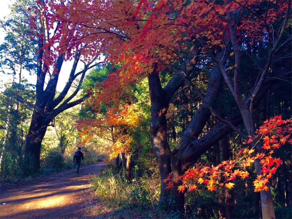 f:id:songispretty5551256:20151201213119j:image f:id:songispretty5551256:20151201213119j:image