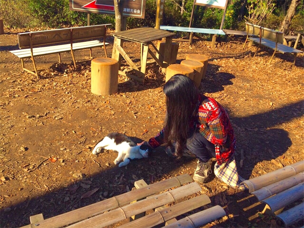 f:id:songispretty5551256:20151201215837j:image f:id:songispretty5551256:20151201215837j:image