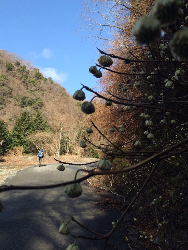 f:id:songispretty5551256:20160308191337j:image f:id:songispretty5551256:20160308191337j:image