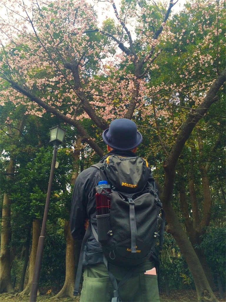f:id:songispretty5551256:20160313204604j:image f:id:songispretty5551256:20160313204604j:image
