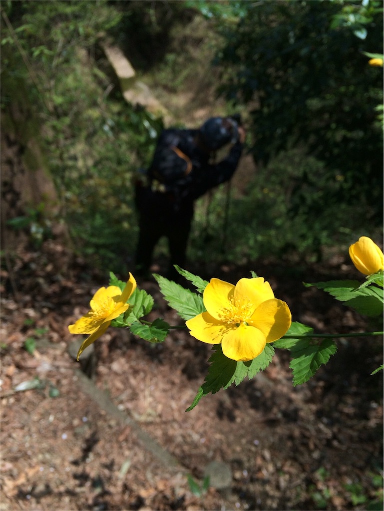 f:id:songispretty5551256:20160412203301j:image f:id:songispretty5551256:20160412203301j:image