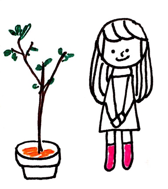 f:id:sonoekoy:20150223010647j:plain f:id:sonoekoy:20150223010647j:plain