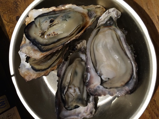 f:id:sonoekoy:20150302231350j:plain f:id:sonoekoy:20150302231350j:plain
