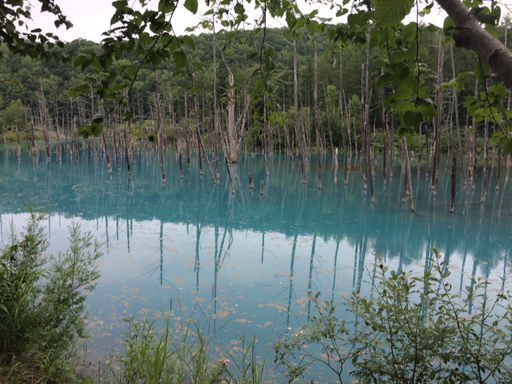 f:id:sonoekoy:20150809115010j:image f:id:sonoekoy:20150809115010j:image