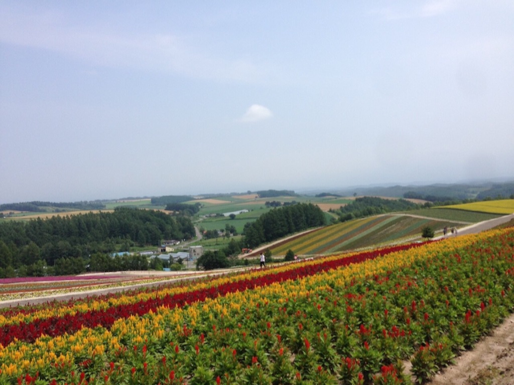 f:id:sonoekoy:20150809121257j:image f:id:sonoekoy:20150809121257j:image