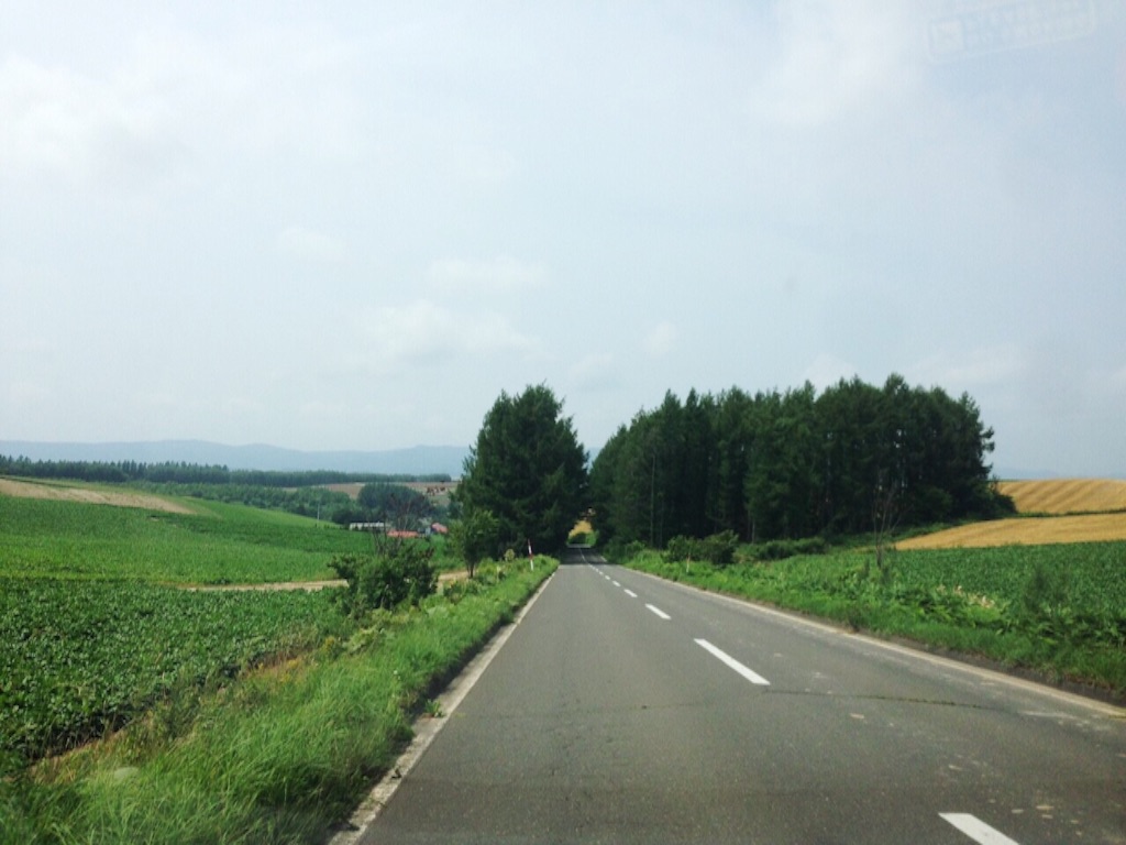 f:id:sonoekoy:20150810184347j:image f:id:sonoekoy:20150810184347j:image