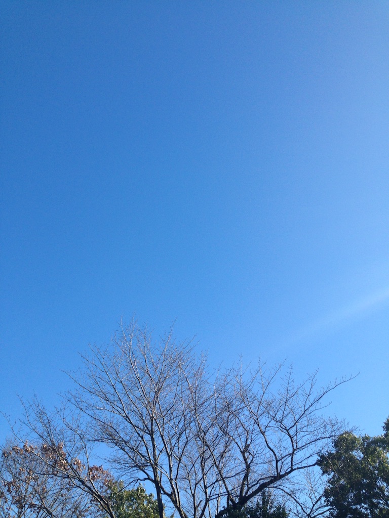 f:id:sorahoshi:20160128224306j:image f:id:sorahoshi:20160128224306j:image