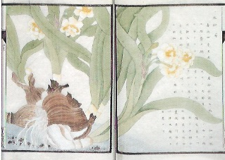 f:id:soraishinoda:20151121204458p:plain f:id:soraishinoda:20151121204458p:plain