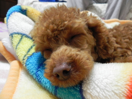 f:id:sorakunmama:20110224221232j:image f:id:sorakunmama:20110224221232j:image