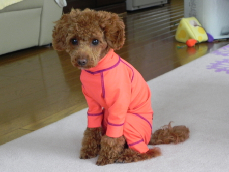 f:id:sorakunmama:20110225155130j:image f:id:sorakunmama:20110225155130j:image