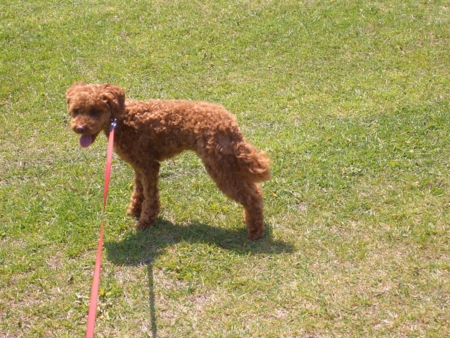 f:id:sorakunmama:20110526131034j:image f:id:sorakunmama:20110526131034j:image