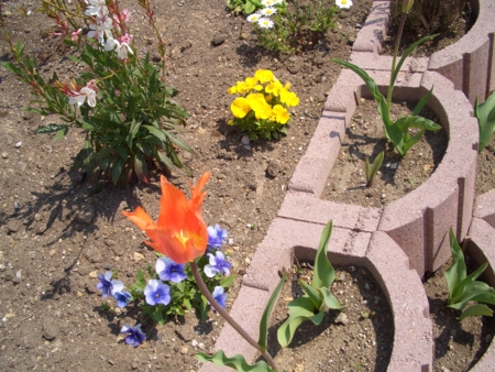 f:id:sorakunmama:20110526132705j:image f:id:sorakunmama:20110526132705j:image