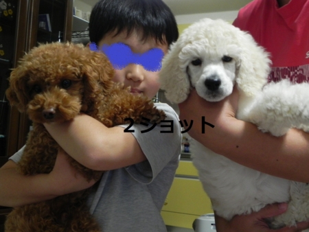 f:id:sorakunmama:20111112183228j:image f:id:sorakunmama:20111112183228j:image