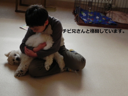 f:id:sorakunmama:20111118144905j:image f:id:sorakunmama:20111118144905j:image