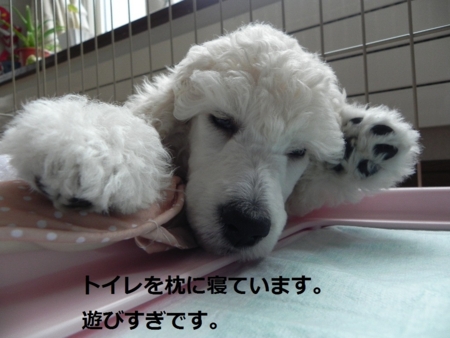 f:id:sorakunmama:20111119120531j:image f:id:sorakunmama:20111119120531j:image