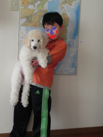 f:id:sorakunmama:20111126144828j:image f:id:sorakunmama:20111126144828j:image