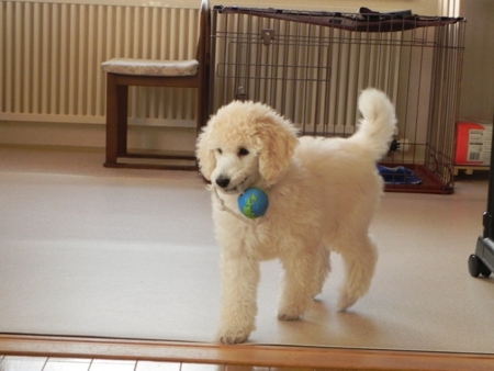 f:id:sorakunmama:20111126145102j:image f:id:sorakunmama:20111126145102j:image