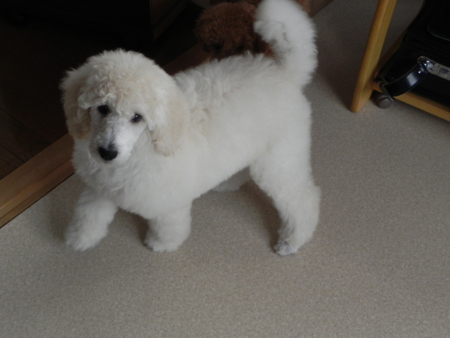 f:id:sorakunmama:20111127120719j:image f:id:sorakunmama:20111127120719j:image