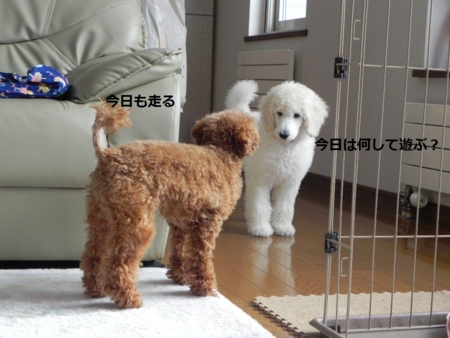 f:id:sorakunmama:20111201110440j:image f:id:sorakunmama:20111201110440j:image