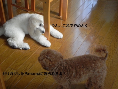 f:id:sorakunmama:20111201110903j:image f:id:sorakunmama:20111201110903j:image