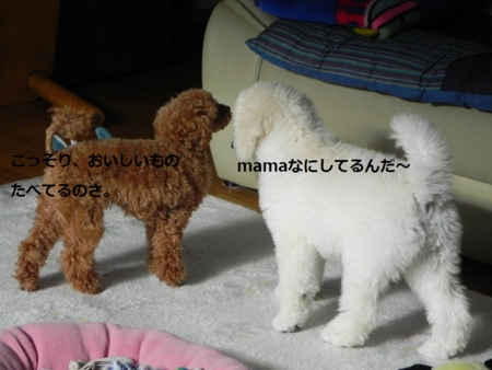 f:id:sorakunmama:20111201111053j:image f:id:sorakunmama:20111201111053j:image