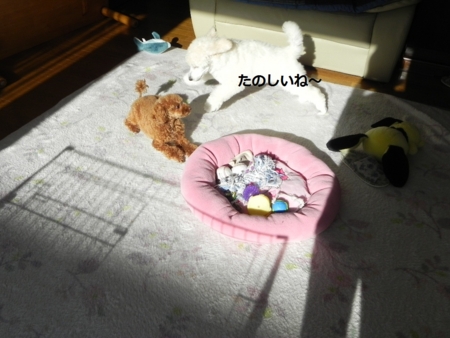f:id:sorakunmama:20111201111152j:image f:id:sorakunmama:20111201111152j:image