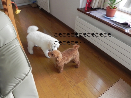 f:id:sorakunmama:20111201112122j:image f:id:sorakunmama:20111201112122j:image
