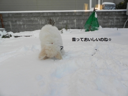 f:id:sorakunmama:20111201152102j:image f:id:sorakunmama:20111201152102j:image