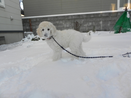 f:id:sorakunmama:20111201152106j:image f:id:sorakunmama:20111201152106j:image
