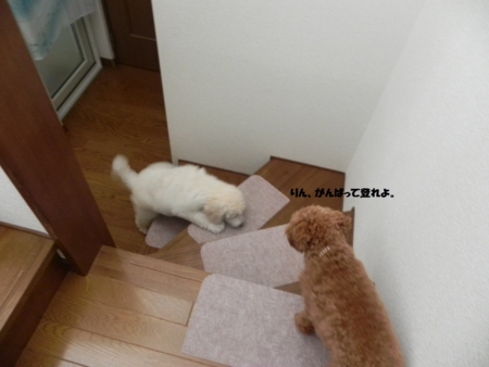f:id:sorakunmama:20111205131951j:image f:id:sorakunmama:20111205131951j:image