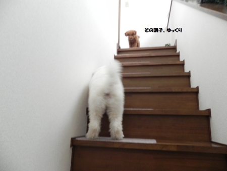f:id:sorakunmama:20111205132100j:image f:id:sorakunmama:20111205132100j:image