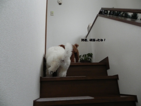 f:id:sorakunmama:20111205132109j:image f:id:sorakunmama:20111205132109j:image