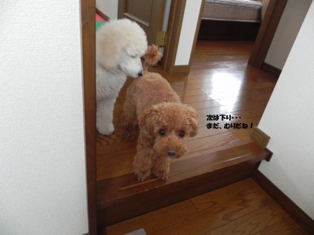 f:id:sorakunmama:20111205132318j:image f:id:sorakunmama:20111205132318j:image