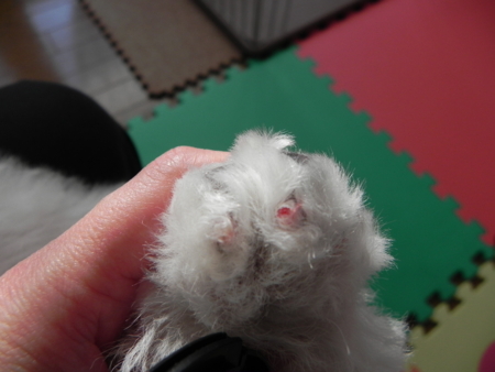 f:id:sorakunmama:20111210120748j:image f:id:sorakunmama:20111210120748j:image