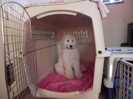 f:id:sorakunmama:20111219151227j:image f:id:sorakunmama:20111219151227j:image