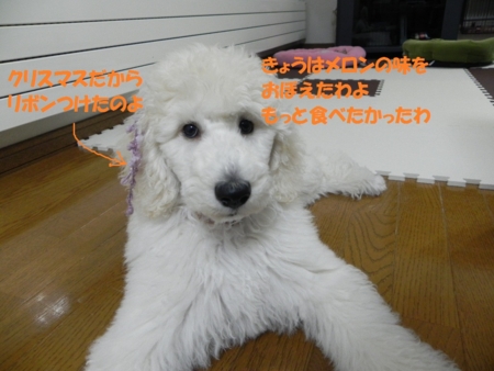 f:id:sorakunmama:20111224221126j:image f:id:sorakunmama:20111224221126j:image
