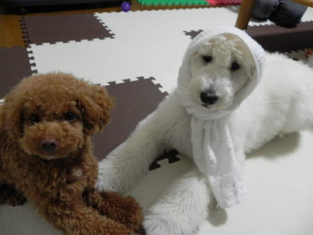 f:id:sorakunmama:20120102173741j:image f:id:sorakunmama:20120102173741j:image