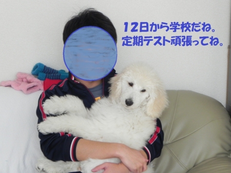 f:id:sorakunmama:20120109123730j:image f:id:sorakunmama:20120109123730j:image