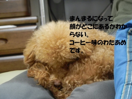 f:id:sorakunmama:20120109175123j:image f:id:sorakunmama:20120109175123j:image