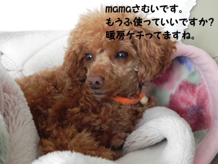 f:id:sorakunmama:20120113125301j:image f:id:sorakunmama:20120113125301j:image
