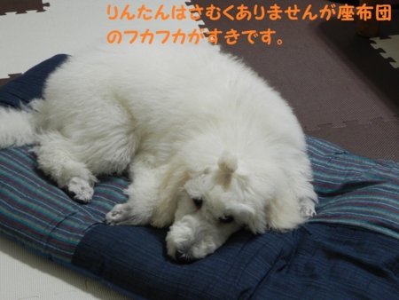 f:id:sorakunmama:20120113202144j:image f:id:sorakunmama:20120113202144j:image