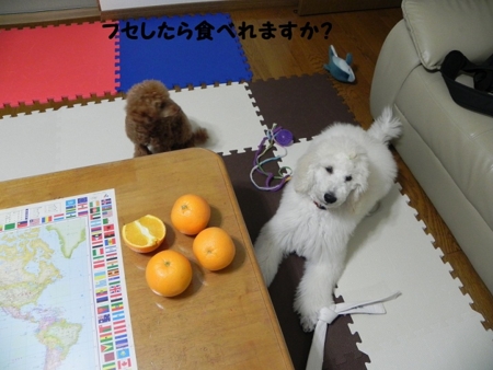 f:id:sorakunmama:20120114181337j:image f:id:sorakunmama:20120114181337j:image