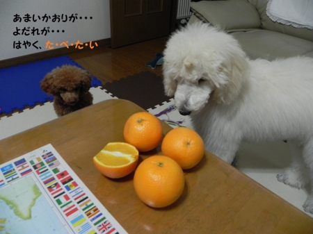 f:id:sorakunmama:20120114181542j:image f:id:sorakunmama:20120114181542j:image